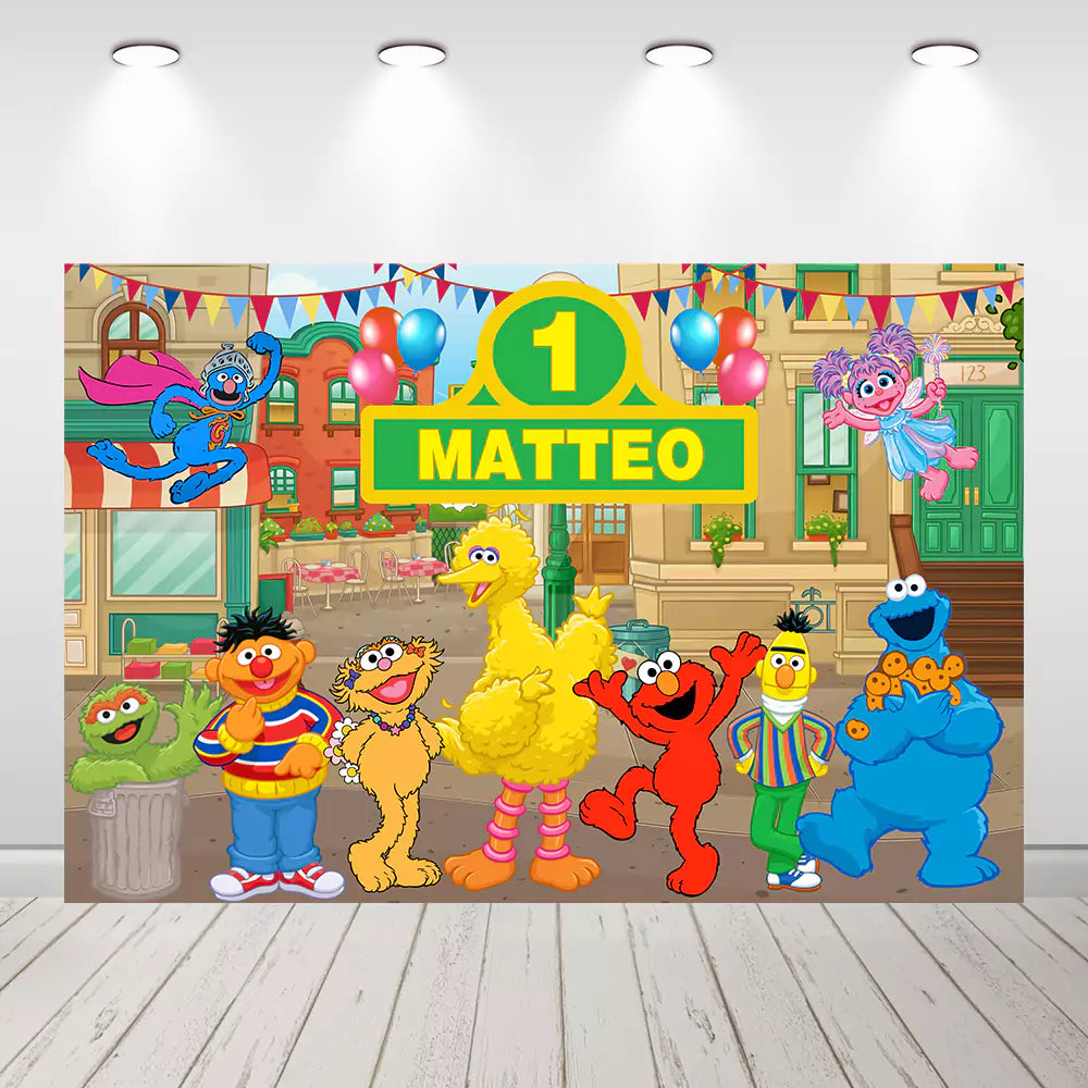 Sesame-Street-Kids-Birthday-Party-Photo-Backdrop-Decoration